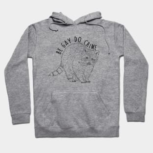 Raccoon Be Gay Do Crime Hoodie